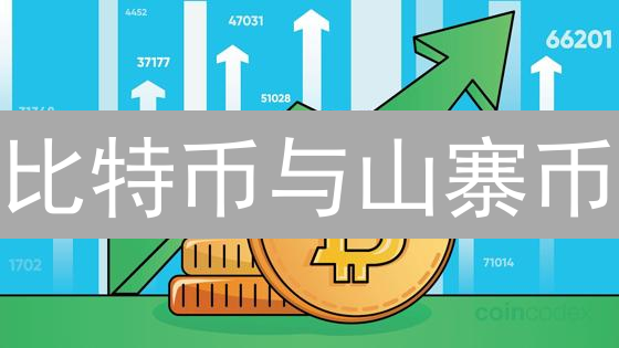 比特币与山寨币：去中心化金融的创新与竞逐