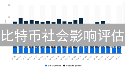 比特币社会影响评估：金融、经济与环境分析