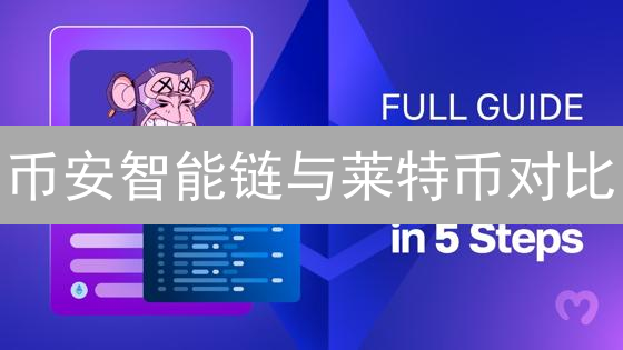 币安智能链与莱特币对比：功能、技术与应用场景分析