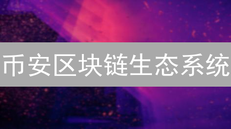 币安区块链生态系统：多元化创新驱动增长