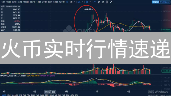 火币实时行情速递：抓住币圈脉搏，赢在起跑线！