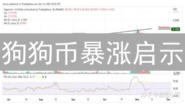 狗狗币暴涨启示：技术分析+社区情绪=财富密码？