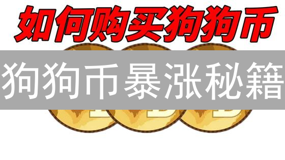 狗狗币暴涨秘籍：何时买？币安交易策略全解析！