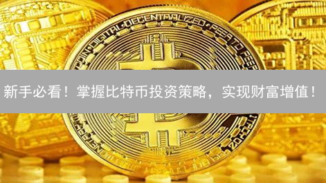新手必看！掌握比特币投资策略，实现财富增值！