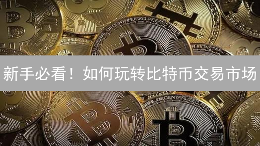 新手必看！如何玩转比特币交易市场？【2024最新攻略】