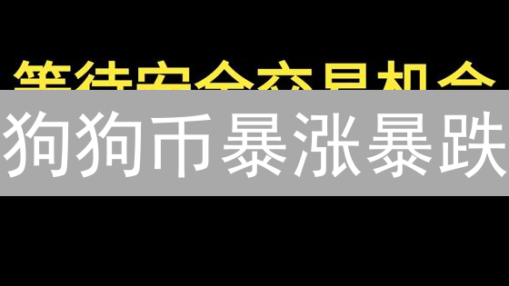 狗狗币暴涨暴跌？3招教你抓住机遇，避免踩坑！