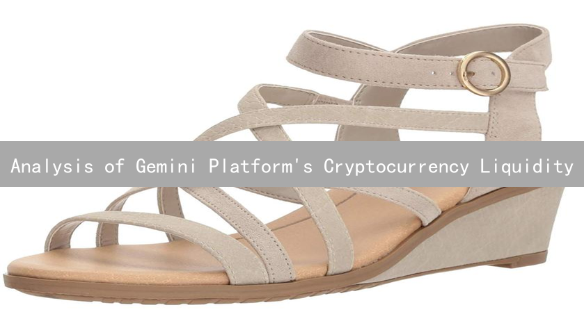 Analysis of Gemini Platform's Cryptocurrency Liquidity