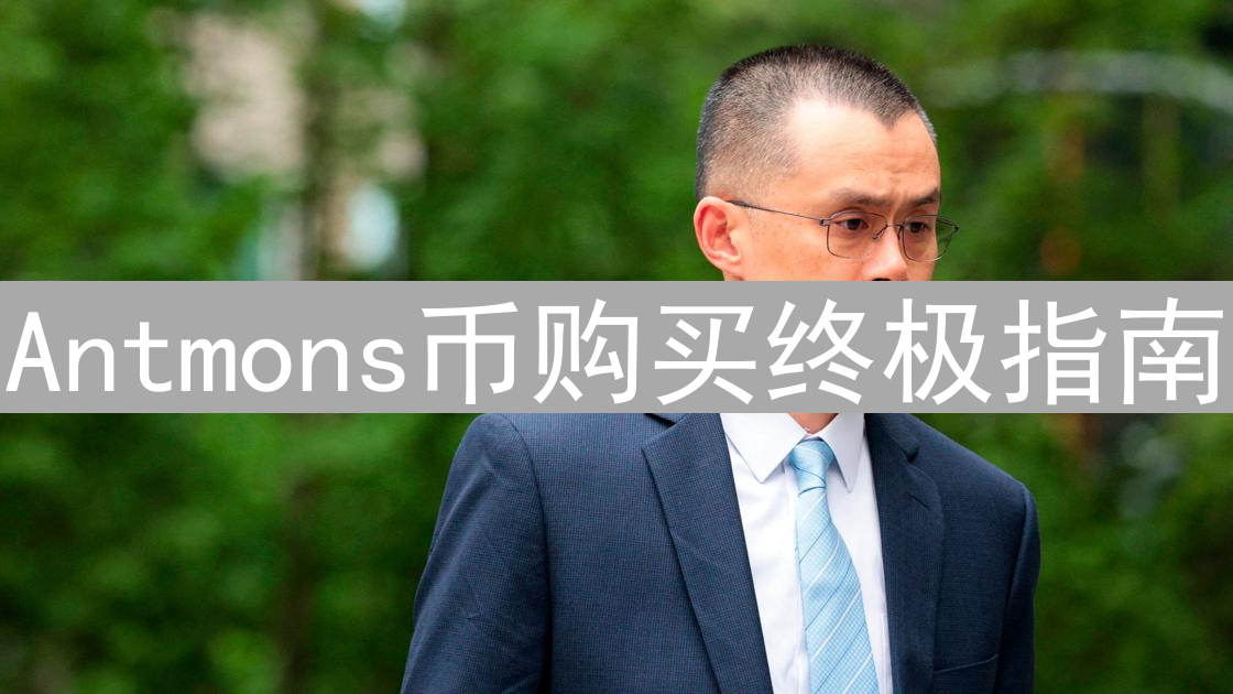Antmons币购买终极指南：如何辨别真伪，安全购买？