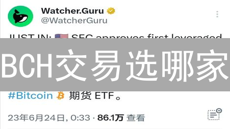 BCH交易选哪家？主流交易所深度对比，新手老手看过来！