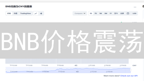 BNB价格震荡？深度剖析币安币未来走势！