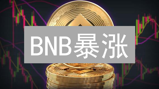 BNB暴涨？深度解读：币安币未来价格预测及投资策略！
