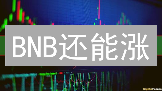BNB还能涨？币安币未来价值深度解析！