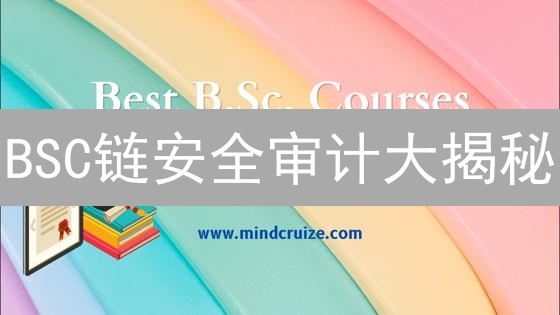 BSC链安全审计大揭秘：你的DeFi资产安全吗？【避坑指南】