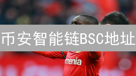 币安智能链BSC地址：构成、意义与信息查询详解