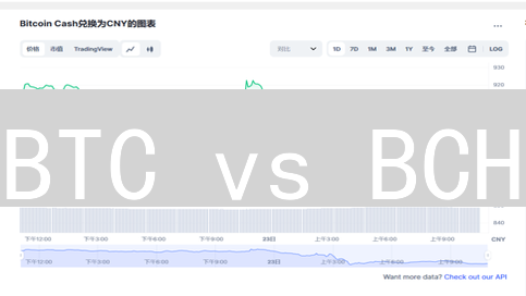 BTC vs BCH：2024 年加密货币投资终极指南？你必须了解的五大差异！