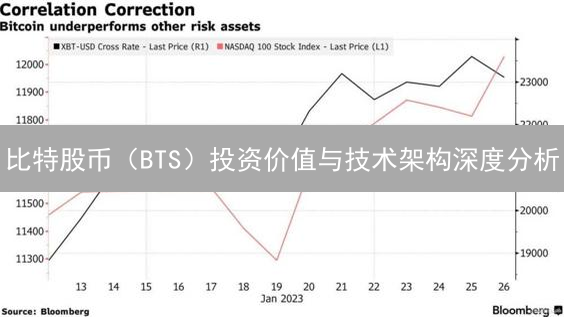 比特股币（BTS）投资价值与技术架构深度分析