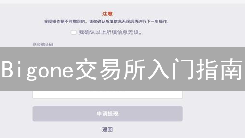 Bigone交易所入门指南：数字资产交易平台使用详解