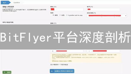 BitFlyer平台深度剖析：特点、用户体验与行业洞察