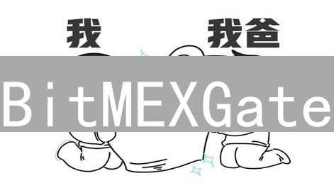 BitMEXGate：高杠杆天堂还是交易修罗场？深度体验揭秘！