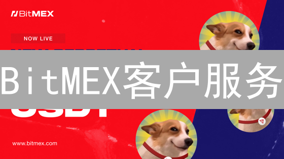 BitMEX客户服务：迷雾中的灯塔？用户体验深度分析