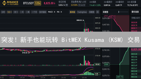 突发！新手也能玩转 BitMEX Kusama (KSM) 交易？秘籍在此！