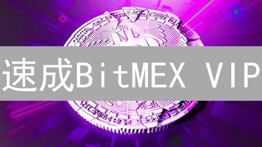 速成BitMEX VIP：独享低费率与专属服务！
