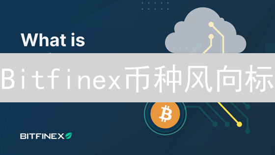Bitfinex币种风向标：揭秘交易所隐藏的投资密码！