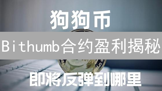 Bithumb合约盈利揭秘：五大策略助你笑傲市场！