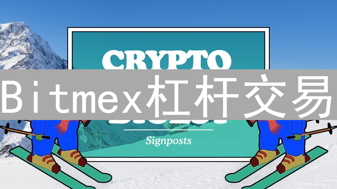 Bitmex杠杆交易：放大收益与风险并存的数字货币游戏