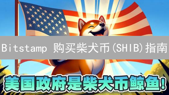 Bitstamp 购买柴犬币(SHIB)指南：新手也能轻松上手？