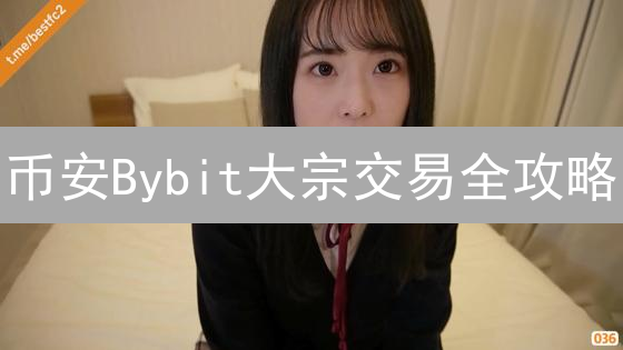 币安Bybit大宗交易全攻略：流程、风险与VIP优惠深度解析！