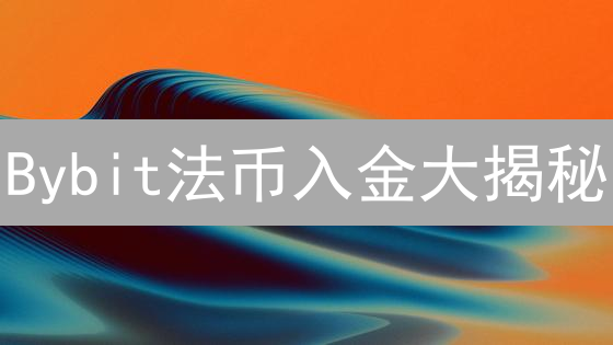 Bybit法币入金大揭秘：新手也能轻松上手？避坑指南！