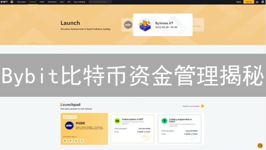 Bybit比特币资金管理揭秘：如何玩转杠杆，降低风险？
