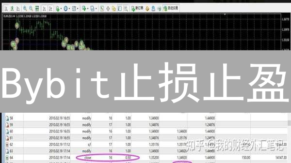 Bybit止损止盈：新手也能轻松掌握，锁定利润的秘诀！