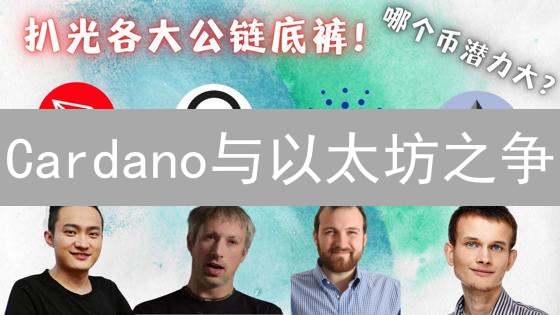 Cardano与以太坊之争：智能合约平台深度分析与投资策略