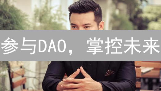 参与DAO，掌控未来：小白也能轻松上手的秘籍！