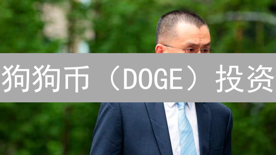 狗狗币（DOGE）投资：风险管理、止损策略与交易平台选择指南