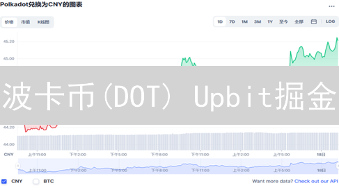 波卡币(DOT) Upbit掘金？深度解析与投资机会！