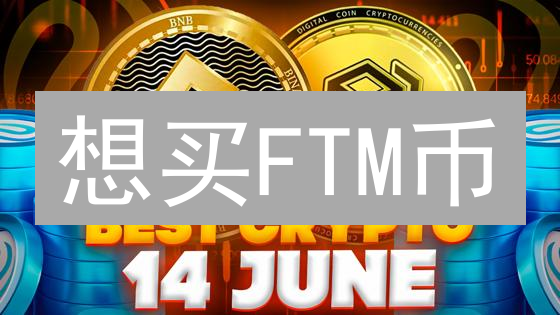 想买FTM币？新手必看！最佳购买途径全攻略！