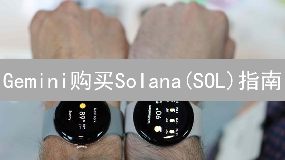 Gemini购买Solana(SOL)指南：新手也能快速上手？