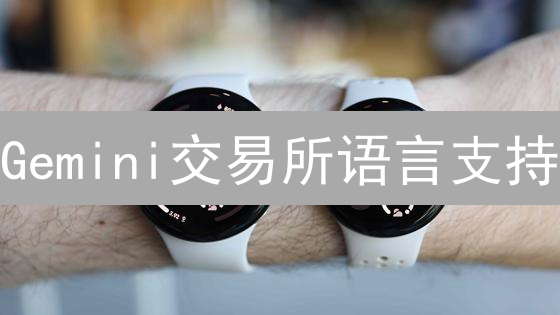 Gemini交易所语言支持：连接全球加密货币社区的桥梁