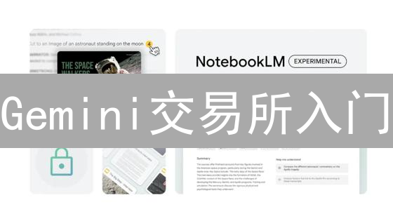 Gemini交易所入门：加密货币投资策略与风险管理指南