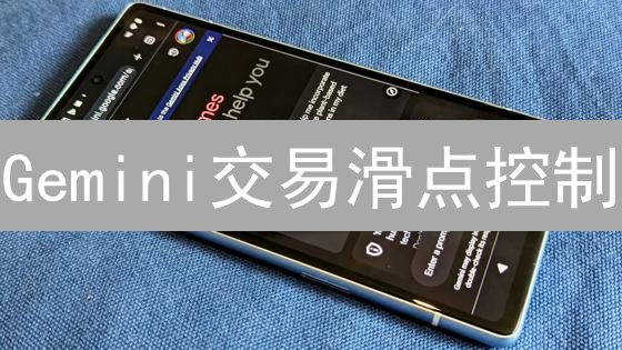 Gemini交易滑点控制：限价单降低交易成本的终极指南！
