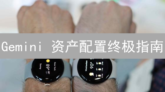 Gemini 资产配置终极指南：稳健收益，规避风险！