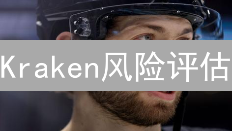 Kraken风险评估：洞察数据，管理加密货币风险