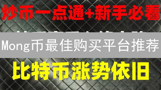 Mong币最佳购买平台推荐：新手投资指南与平台分析