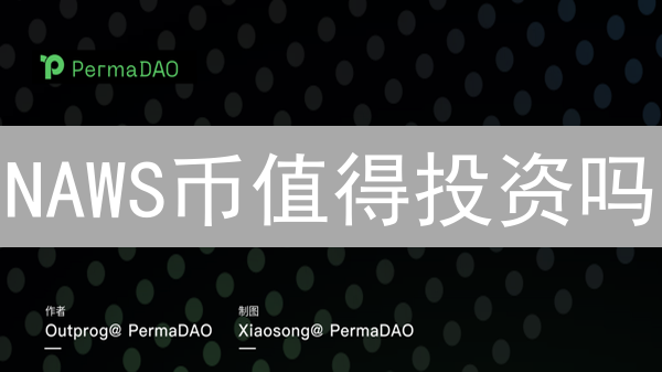 NAWS币值得投资吗？2024年潜力分析与风险评估！