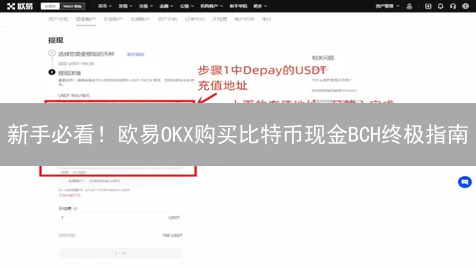 新手必看！欧易OKX购买比特币现金BCH终极指南
