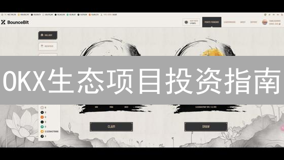 OKX生态项目投资指南：IEO与Ventures策略解析