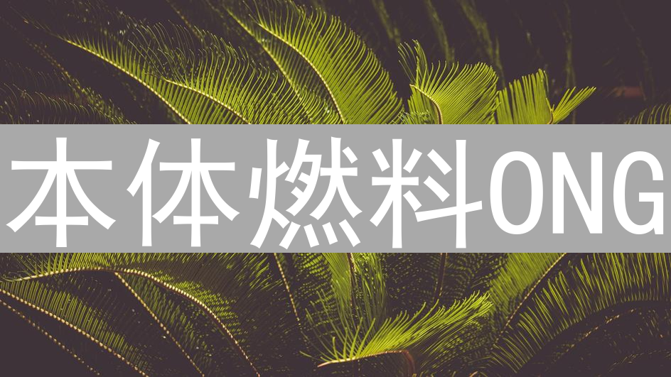 本体燃料ONG：解锁本体网络活力的关键代币